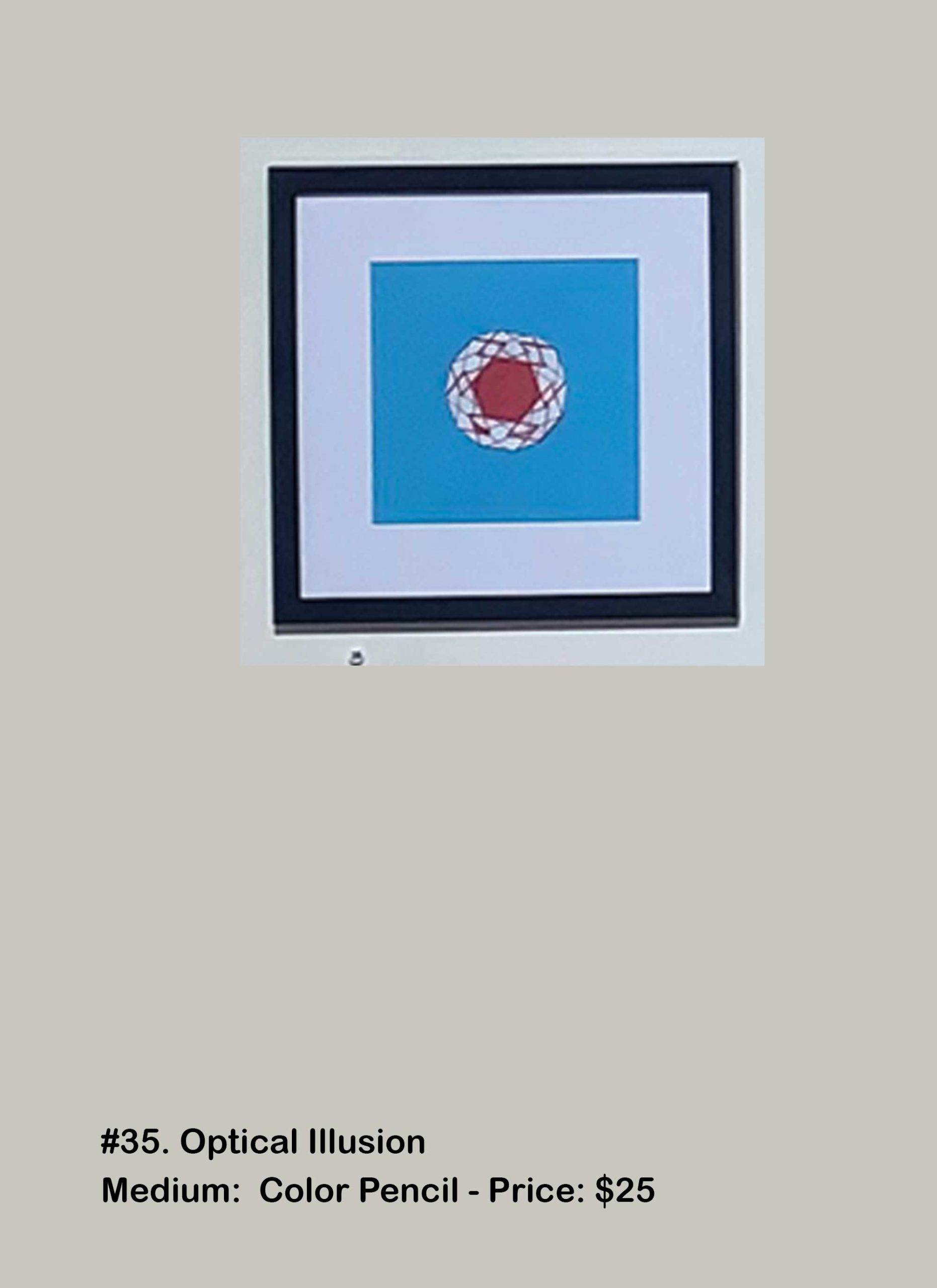 #35. Optical Illusion Medium:  Color Pencil | Price: $25